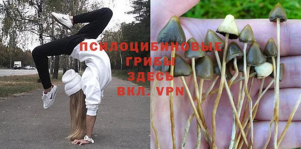 мяу мяу кристалл Алексеевка