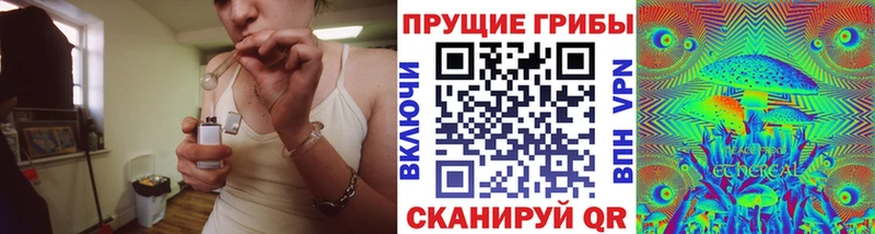 где найти наркотики  Богородск  Псилоцибиновые грибы Psilocybe 