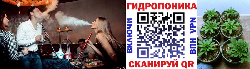 Бошки марихуана план Богородск